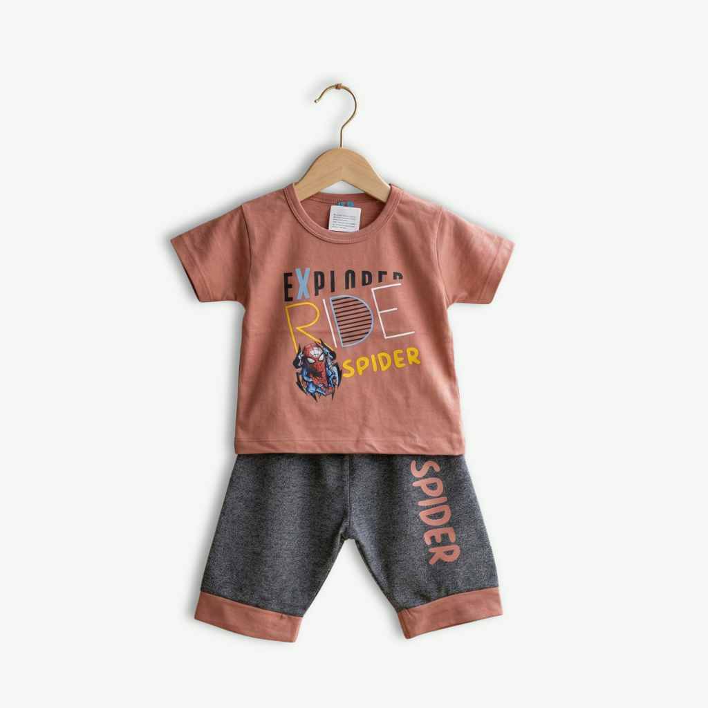Baby Boys Spider Theme 2-Piece Set – Dusty Rose